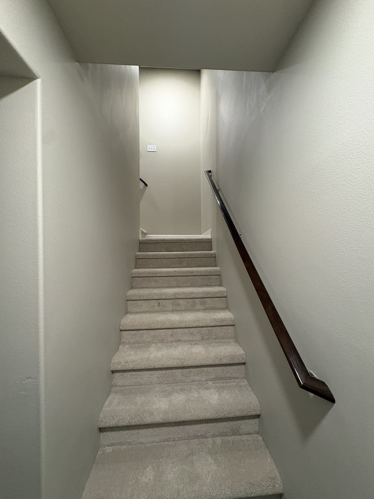 Stairway with newly installed carpet